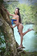 Foto 0033754020142 Trans Cannes Eliana - 34