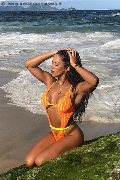 Foto 0033785226903 Transescort Avignone Natty Collin - 2