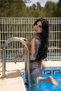 Foto 0034612216651 Transescort Madrid Ts Clary Santos - 16