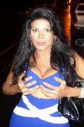 Foto 0034647068012 Transescort Tortosa Eva Star - 27