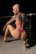 Foto 3270729765 Trans Roma Ath�na - 5