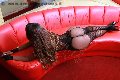 Foto 3311701971 Mistresstrans Torino Mistress Pantera - 9