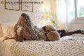 Foto 3314922831 Transescort Milano Gabriella Giaretta - 7
