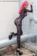 Foto 3338758341 Transescort Vicenza Nady - 95