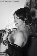Foto 3341087500 Trans Savona Lisa Valle - 65