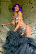 Foto 3387927954 Transescort Bergamo Erotika Flavy Star - 85