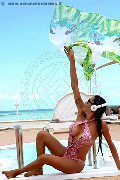 Foto 3387927954 Transescort Reggio Emilia Erotika Flavy Star - 397