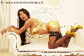 Foto 3387927954 Transescort Reggio Emilia Erotika Flavy Star - 259