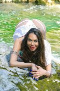 Foto 3387927954 Transescort Reggio Emilia Erotika Flavy Star - 61