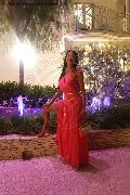 Foto 3387927954 Transescort Reggio Emilia Erotika Flavy Star - 433