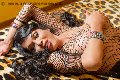 Foto 3387927954 Transescort Reggio Emilia Erotika Flavy Star - 231