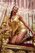 Foto 3387927954 Transescort Reggio Emilia Erotika Flavy Star - 295