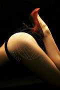Foto 3388830800 Mistress Alessandria Fenix - 15