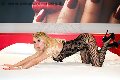 Foto 3468002809 Girl Foggia Alexandra Miss - 45