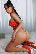 Foto 3475451376 Transescort Faenza Vanessa Midori - 1