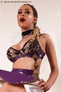 Foto 3477192685 Transescort Gallarate Miss Valentina Bigdick - 32