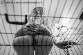 Foto 3486833721 Mistress Verona Lady Giuliette - 16