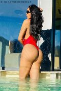 Foto 3515874125 Trans Ospitaletto Graziella Farias - 81