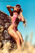 Foto 3898313619 Trans Roma Chrystal Medeiros Pornostar - 23