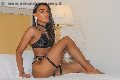 Foto 3921748880 Trans Rimini Sophia Gold - 50