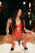 Foto Hot 3407812035 Trav Milano Sabrina Alencar - 4