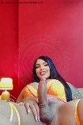 Foto Hot 3931001131 Trans Milano Luana Castrinni - 11