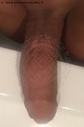 Madrid Trans Escort Angeles Cid  0034627345057 foto selfie 12