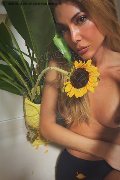 Ginevra Trans Allien Ashtar  0041779468942 foto selfie 6