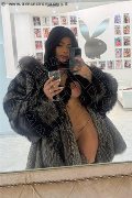 L'aquila Escort Luisa Miele 327 39 79 079 foto selfie 4