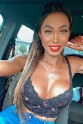 Bergamo Trans Escort Thayys Castro 329 72 89 046 foto selfie 83