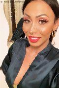 Bergamo Trans Escort Thayys Castro 329 72 89 046 foto selfie 92