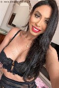 Bergamo Trans Escort Thayys Castro 329 72 89 046 foto selfie 31