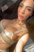 Padova Trans Escort Pamelita 331 15 07 952 foto selfie 16