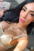 Padova Trans Escort Pamelita 331 15 07 952 foto selfie 18