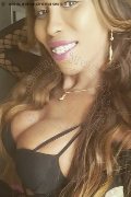 Torino Trans Escort Leonna Pantera 331 17 01 971 foto selfie 56