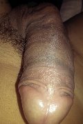 Prato Trans Bruna Lopez 331 33 46 581 foto selfie 92