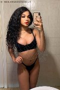 Novara Trans Escort Miele 331 78 08 280 foto selfie 48