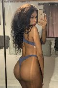 Novara Trans Escort Miele 331 78 08 280 foto selfie 11