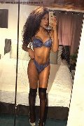 Novara Trans Escort Miele 331 78 08 280 foto selfie 21