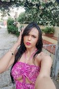 Lido Di Camaiore Trans Escort Amanda Soares 331 97 94 062 foto selfie 11