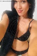 Milano Trans Escort July 333 17 14 768 foto selfie 39