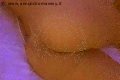 Milano Trans Escort Sheila Lamborghini 344 01 49 006 foto selfie 76