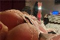Napoli Trans Antonella Victoria 347 39 10 796 foto selfie 4