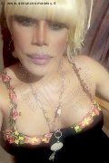 Milano Trans Nicole Vip Venturiny 353 35 38 868 foto selfie 444