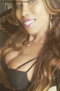 Gallarate Trans Leonna Pantera 380 43 15 932 foto selfie 51