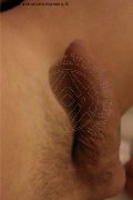 Parma Trans Escort Laviny Albuquerque Pornostar 389 00 19 370 foto selfie 179