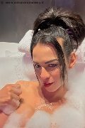 Milano Trans Escort Natalia Rodrigues Pornostar 392 11 96 784 foto selfie 6