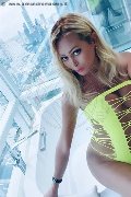 Rapallo Trans Escort Michelle Prado 392 80 20 175 foto selfie 42