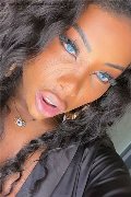 Padova Trans Campbell 393 33 57 541 foto selfie 1