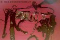 Foto 3201830286 Trans Cassano Delle Murge Monique - 21